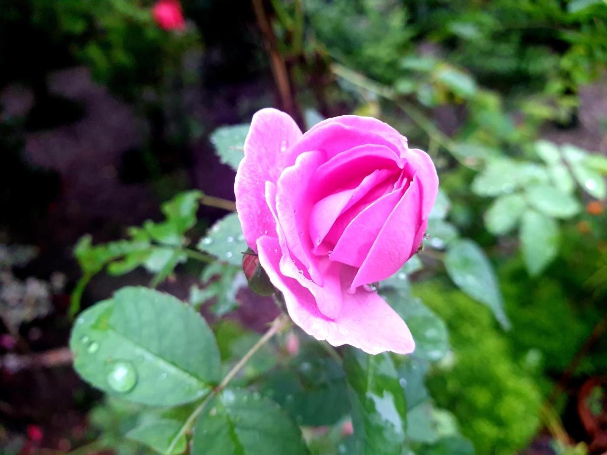 Amritham Holidays Homestay Trivandrum Thiruvananthapuram Bagian luar foto