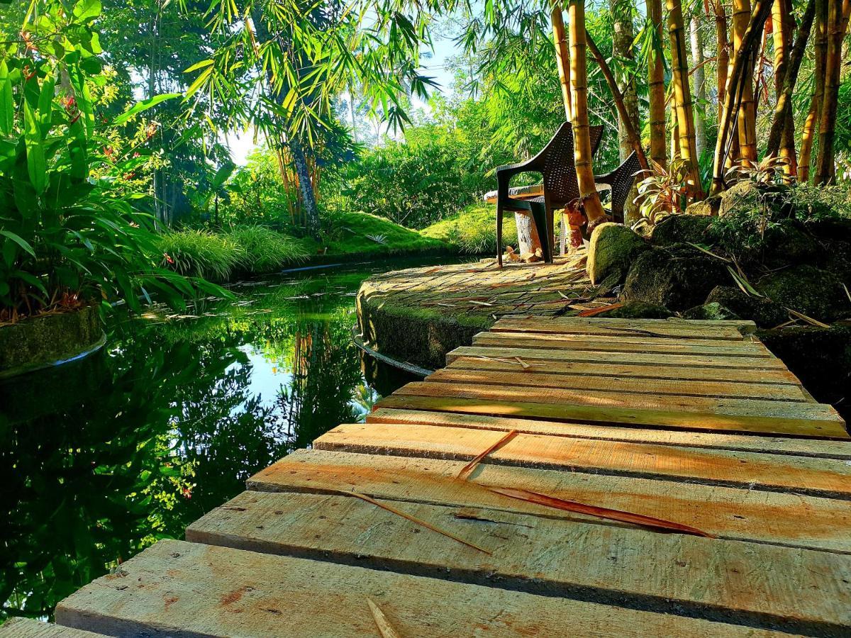 Amritham Holidays Homestay Trivandrum Thiruvananthapuram Bagian luar foto